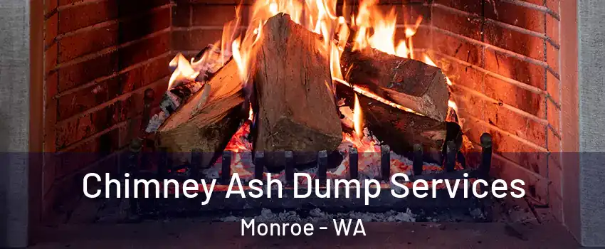 Chimney Ash Dump Services Monroe - WA