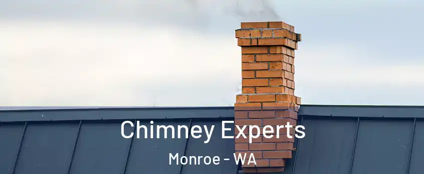Chimney Experts Monroe - WA