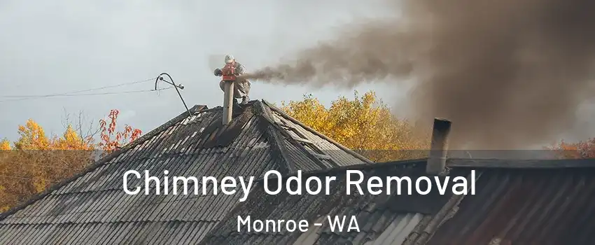 Chimney Odor Removal Monroe - WA