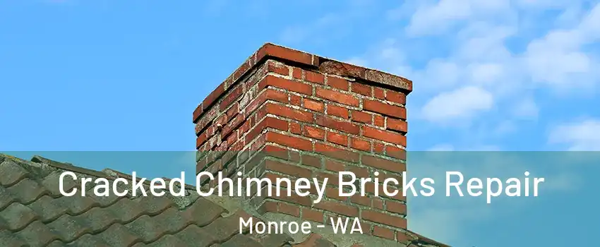 Cracked Chimney Bricks Repair Monroe - WA