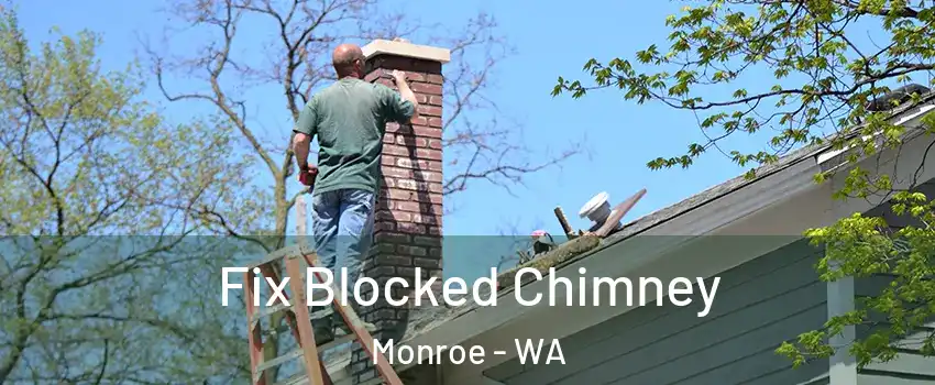 Fix Blocked Chimney Monroe - WA