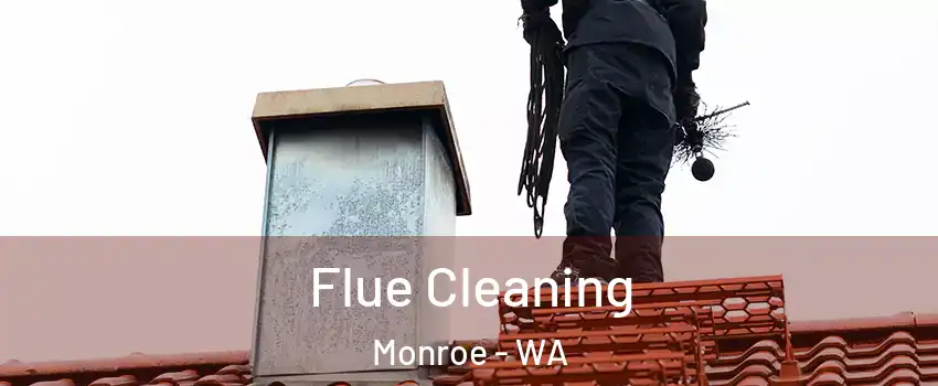 Flue Cleaning Monroe - WA