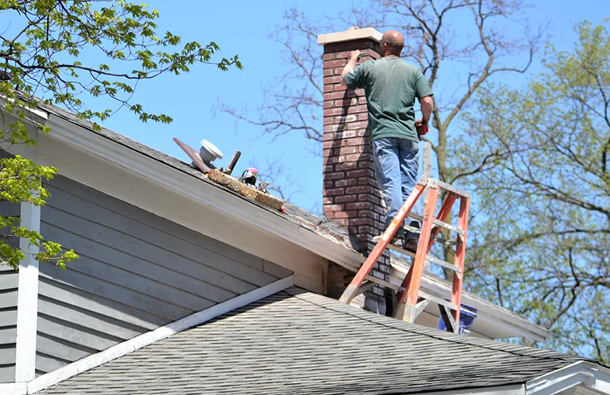 Chimney & Fireplace Inspections Services in Monroe, WA