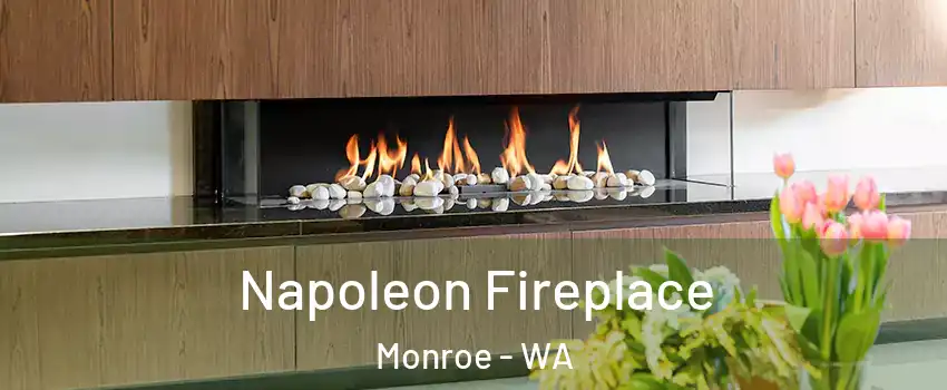  Napoleon Fireplace Monroe - WA
